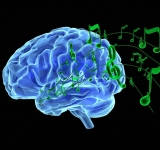 Thống kê những lợi ích của âm nhạc trong giáo dục